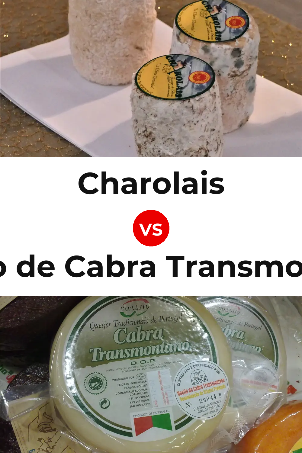 Charolais Cheese vs Queijo de Cabra Transmontano Pinterest comparison