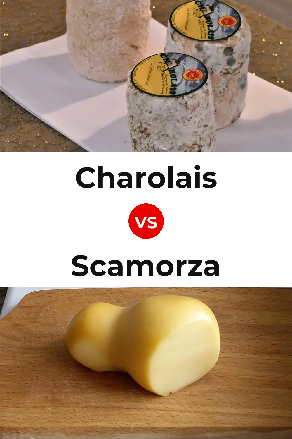 Charolais Cheese vs Scamorza Cheese Pinterest comparison