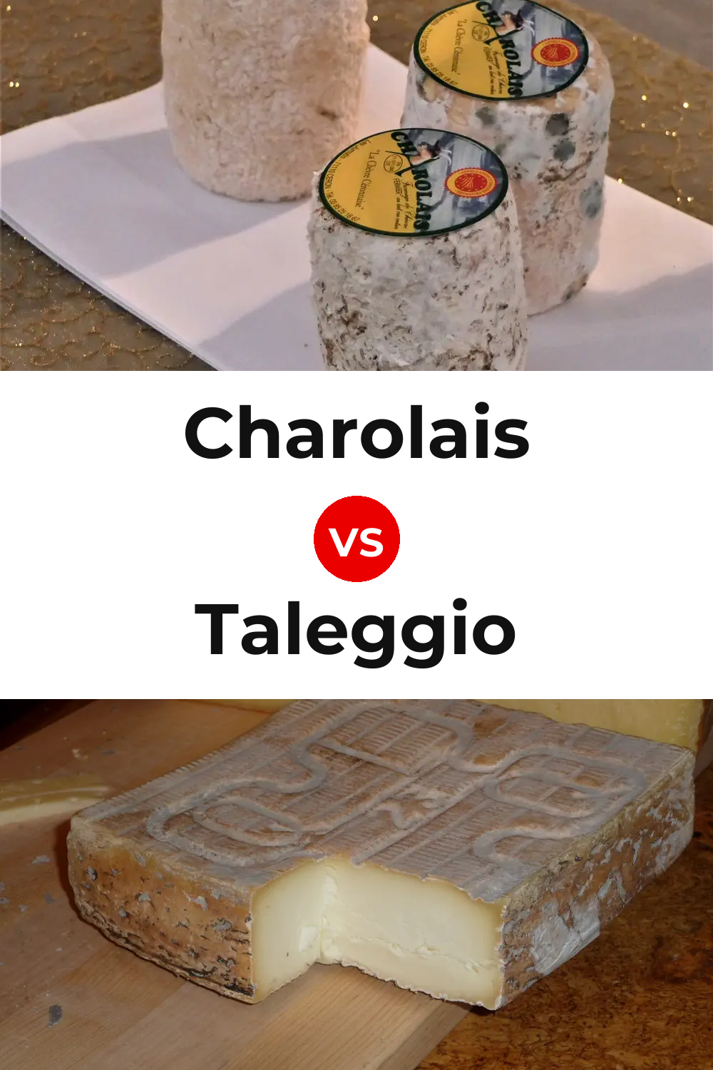 Charolais Cheese vs Taleggio Cheese Pinterest comparison