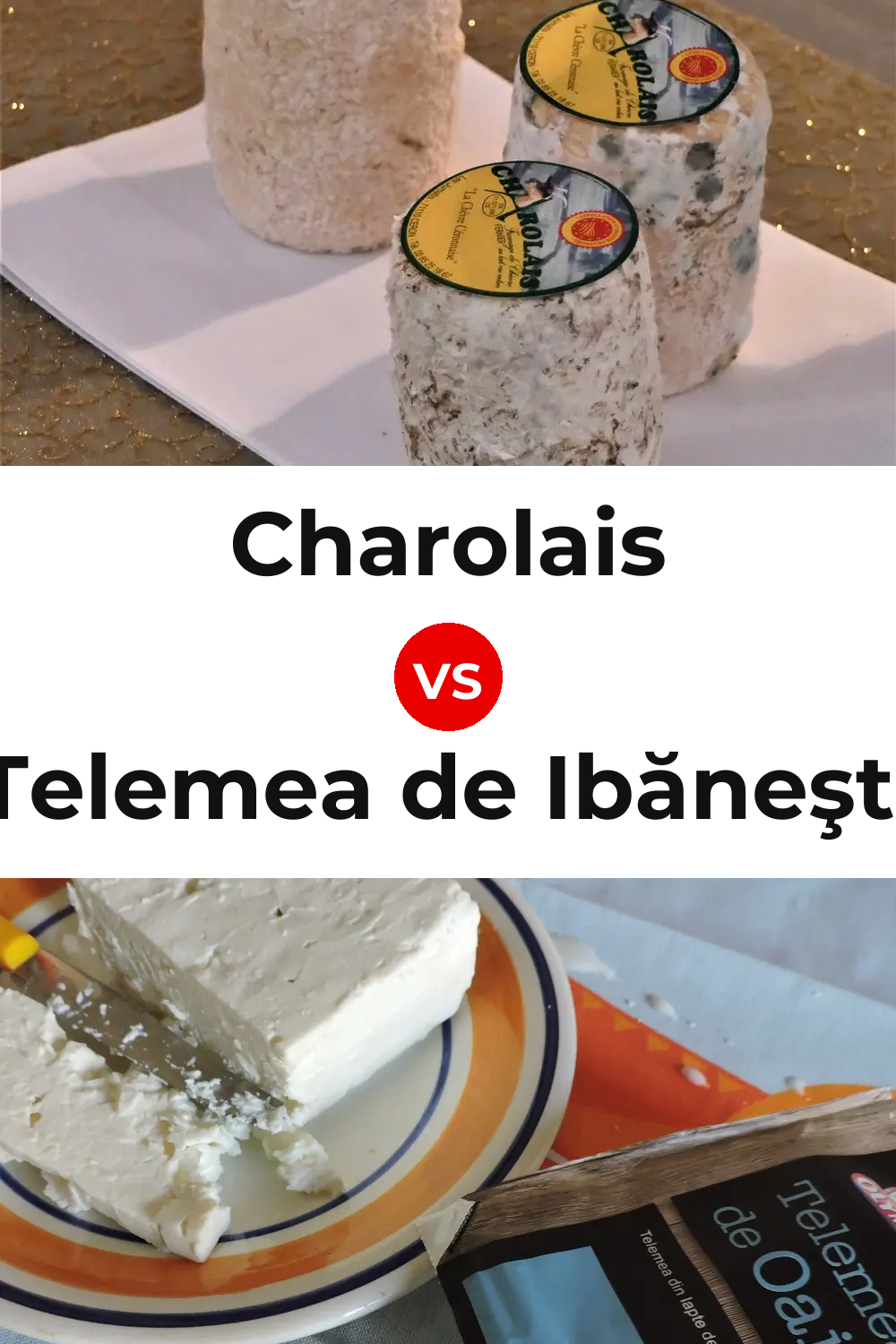 Charolais Cheese vs Telemea de Ibăneşti Cheese Pinterest comparison