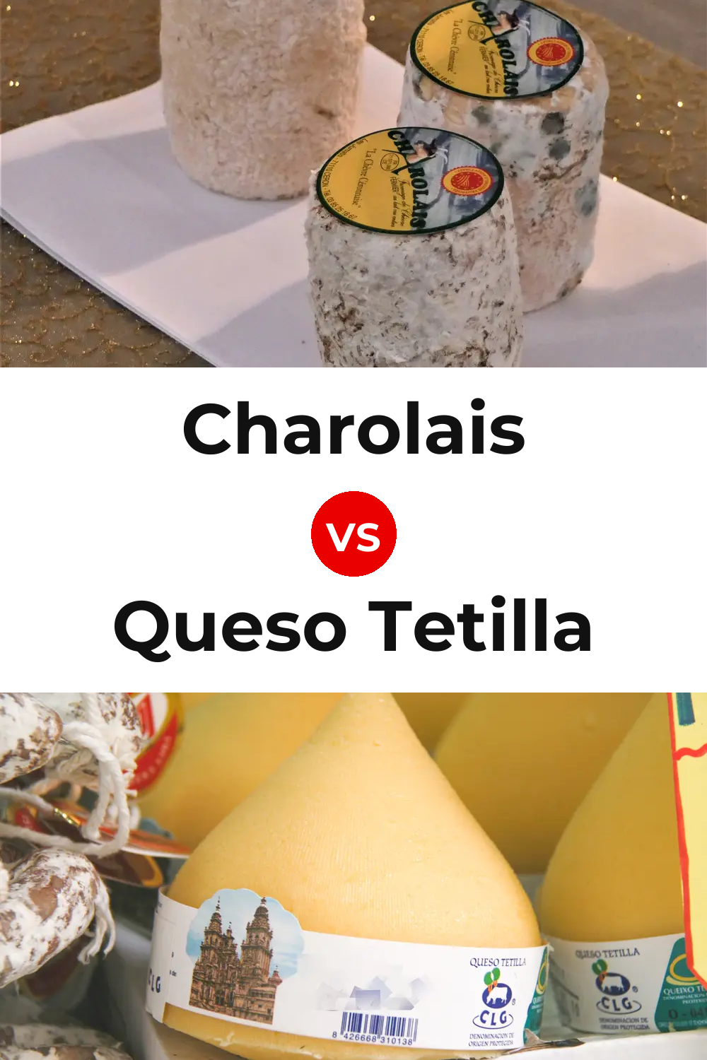 Charolais Cheese vs Queso Tetilla Pinterest comparison