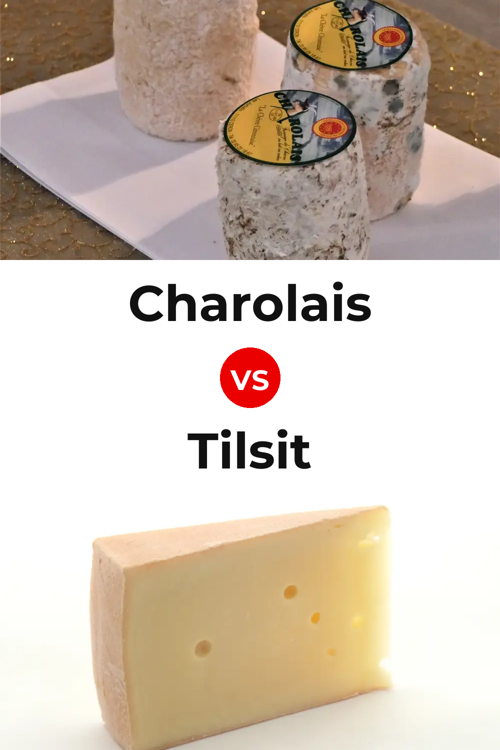Charolais Cheese vs Tilsit Cheese Pinterest comparison