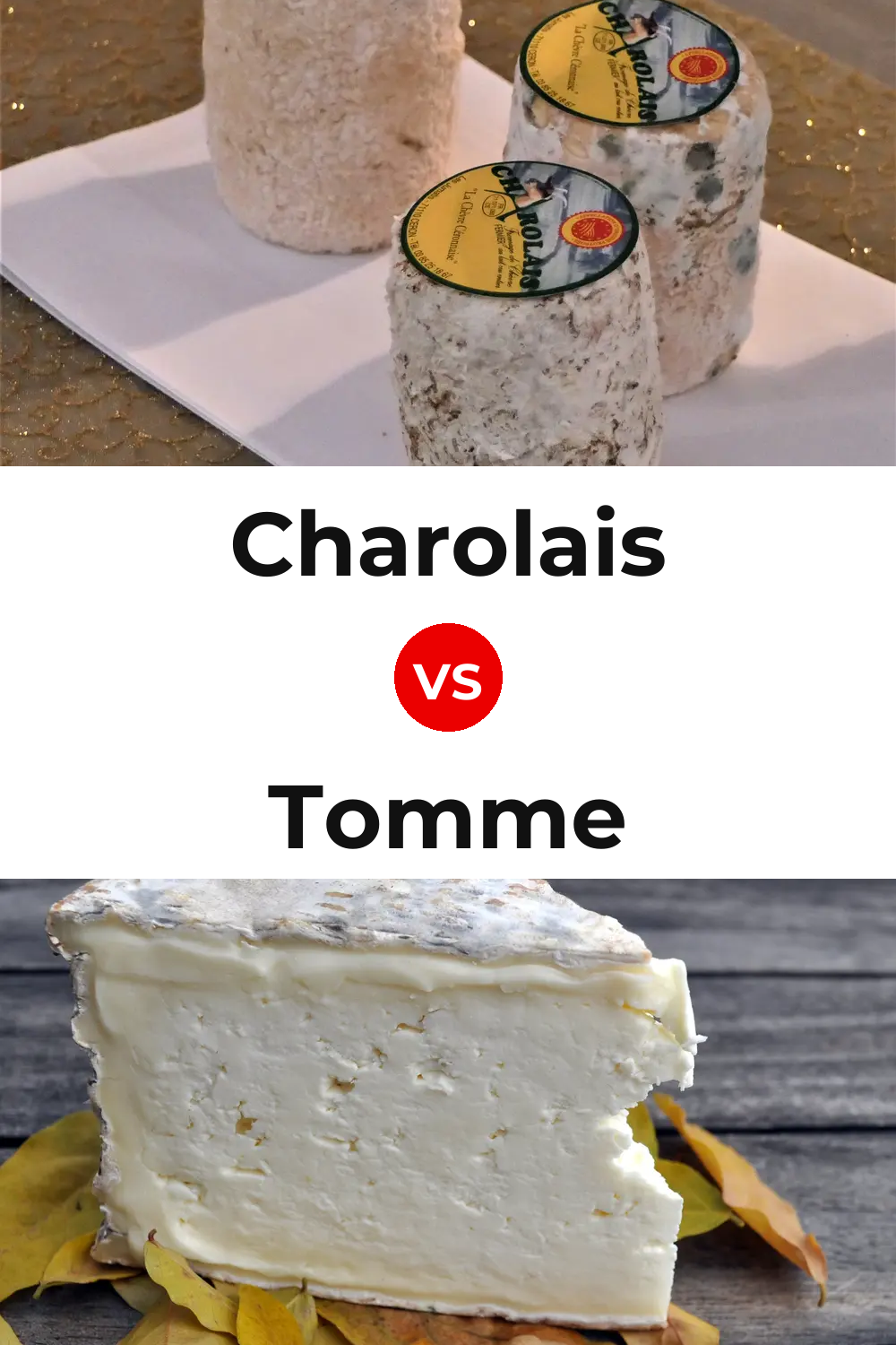 Charolais Cheese vs Tomme Cheese Pinterest comparison