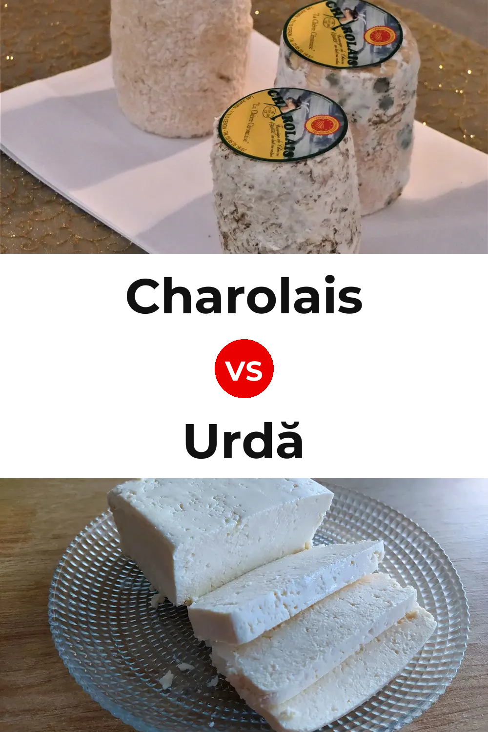 Charolais Cheese vs Urdă Cheese Pinterest comparison