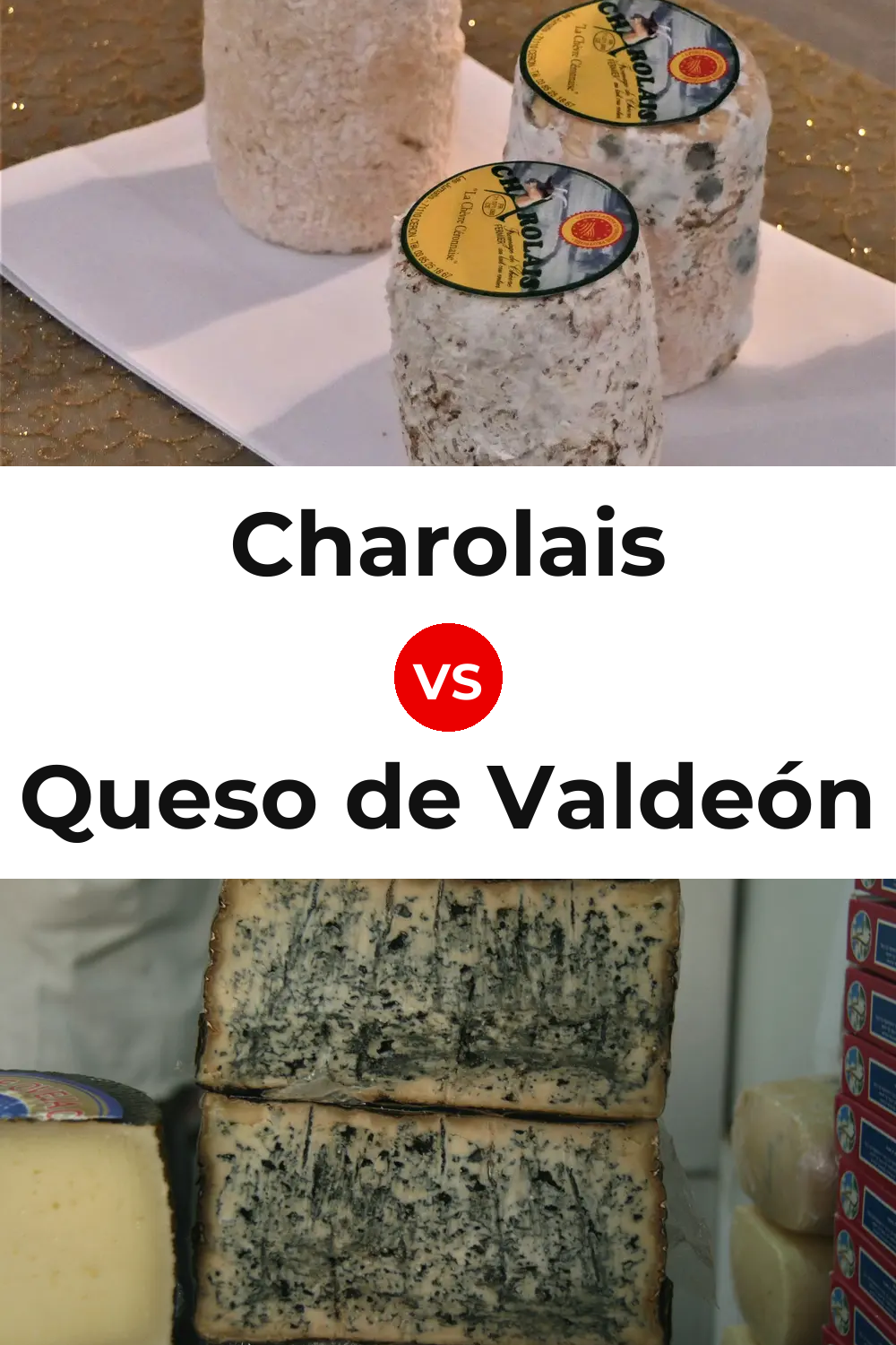 Charolais Cheese vs Queso de Valdeón Pinterest comparison