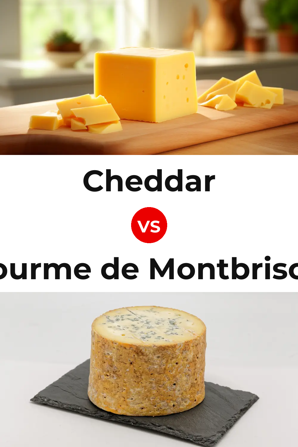 Cheddar Cheese vs Fourme de Montbrison Cheese Pinterest comparison