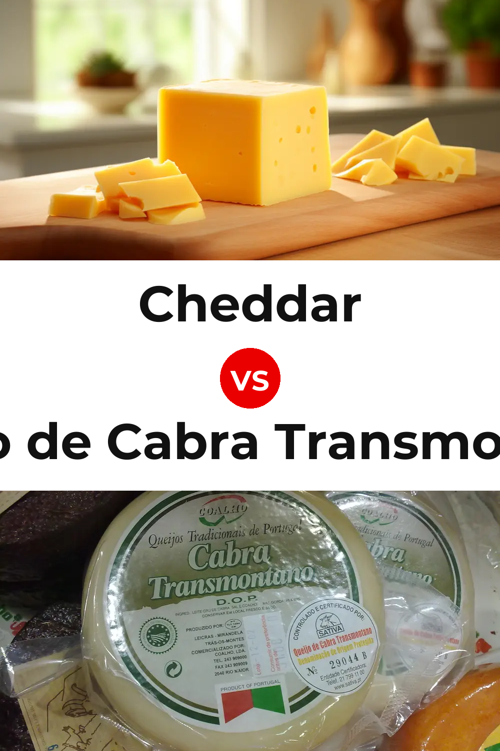 Cheddar Cheese vs Queijo de Cabra Transmontano Pinterest comparison