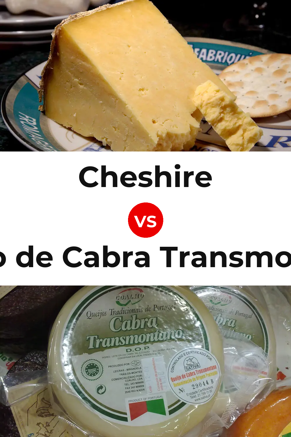 Cheshire Cheese vs Queijo de Cabra Transmontano Pinterest comparison