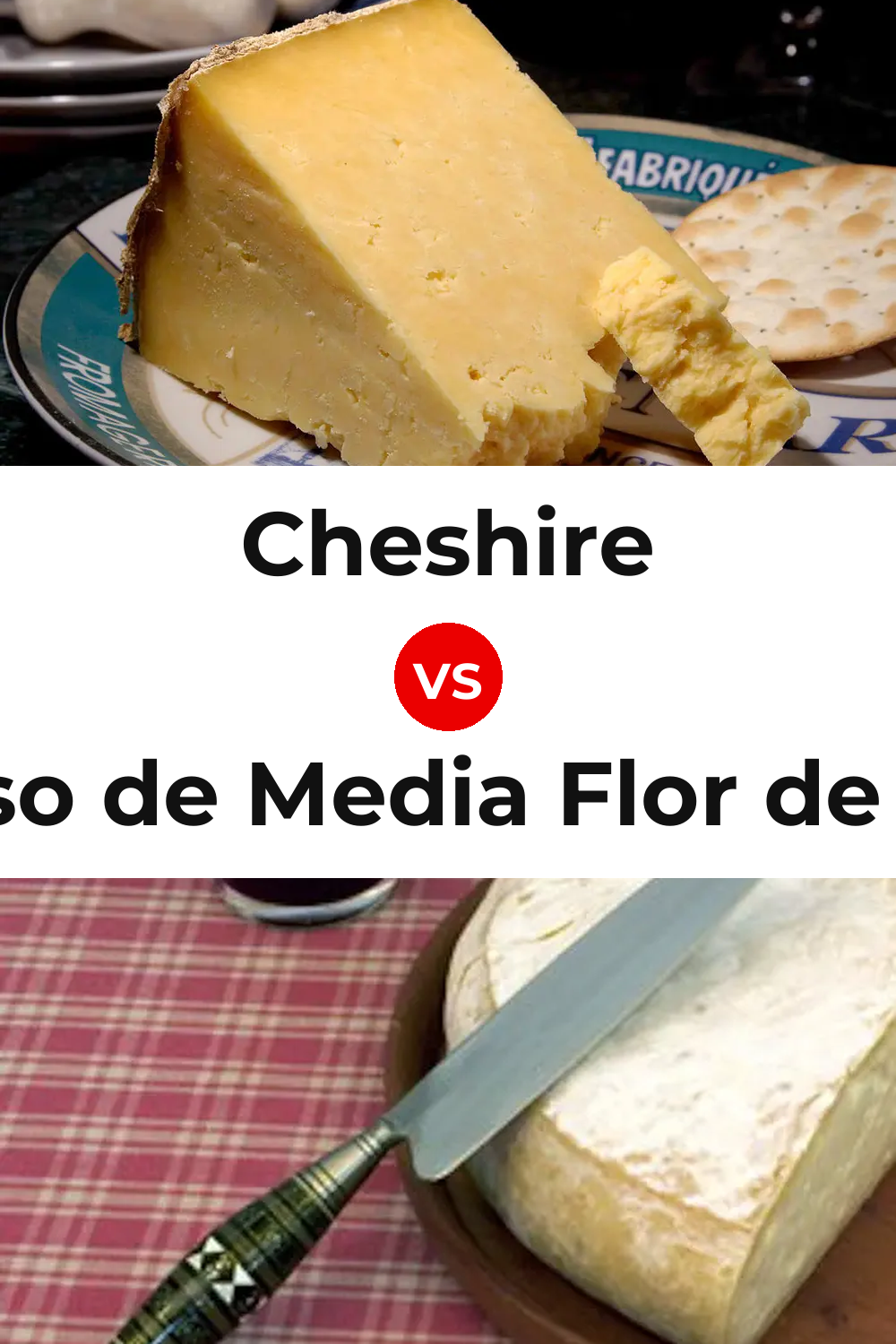 Cheshire Cheese vs Queso de Media Flor de Guía Pinterest comparison