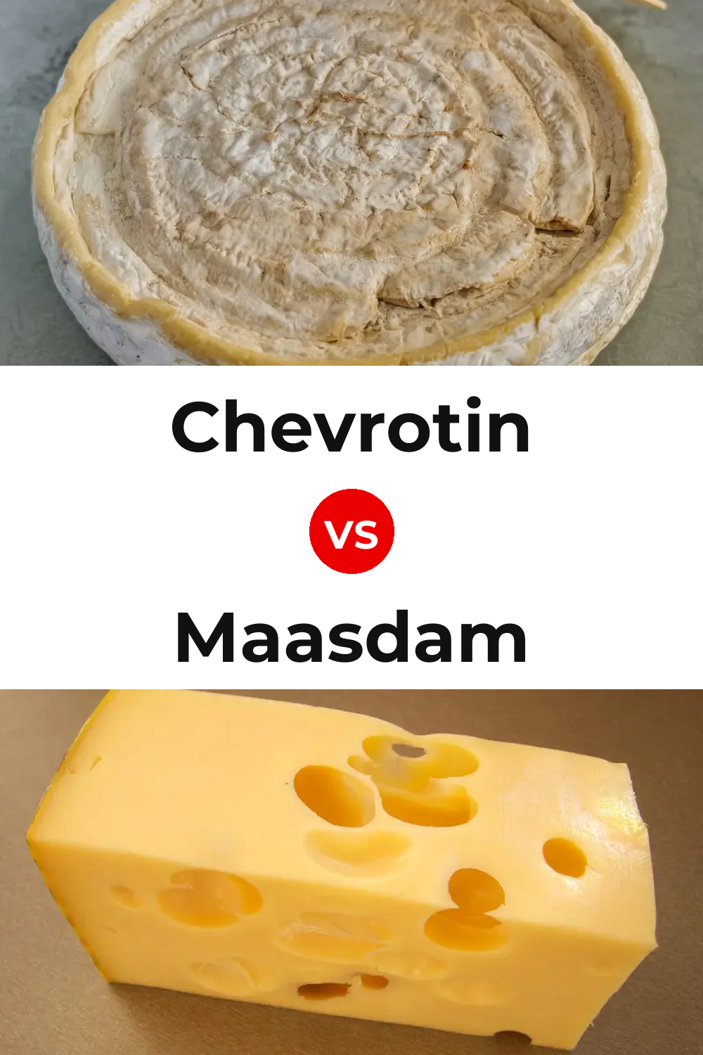 Chevrotin Cheese vs Maasdam Cheese Pinterest comparison