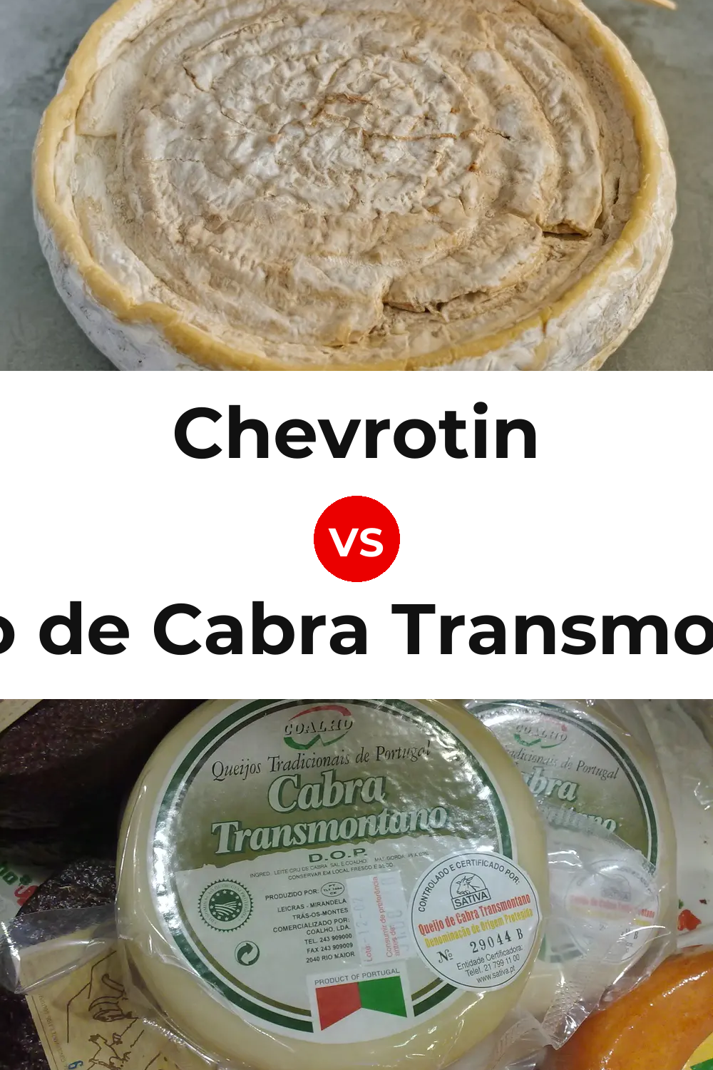 Chevrotin Cheese vs Queijo de Cabra Transmontano Pinterest comparison