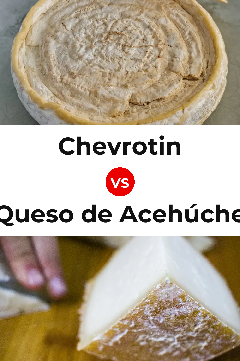 Chevrotin Cheese vs Queso de Acehúche Pinterest comparison