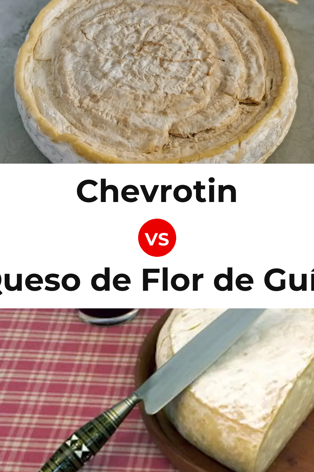 Chevrotin Cheese vs Queso de Flor de Guía Pinterest comparison