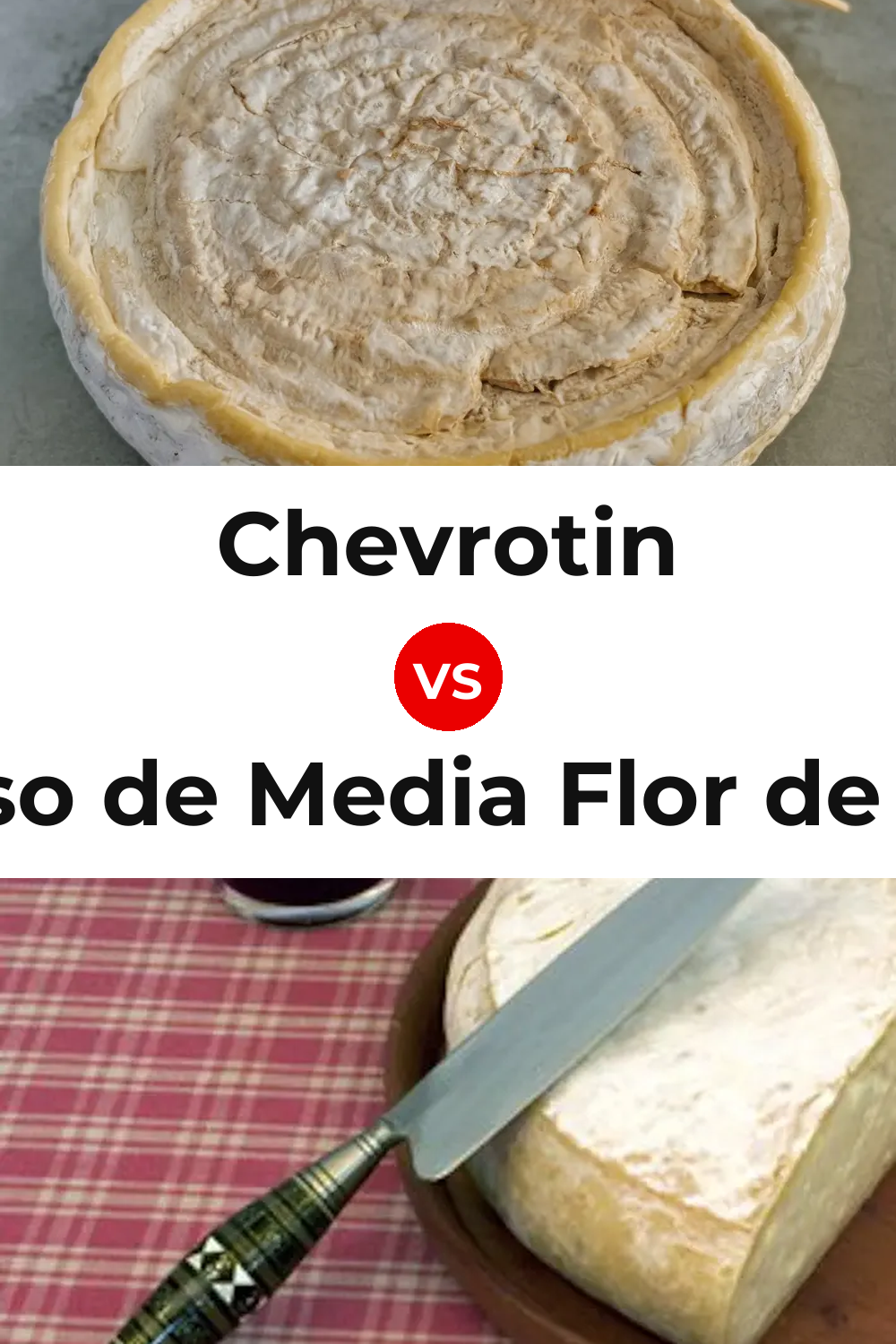 Chevrotin Cheese vs Queso de Media Flor de Guía Pinterest comparison