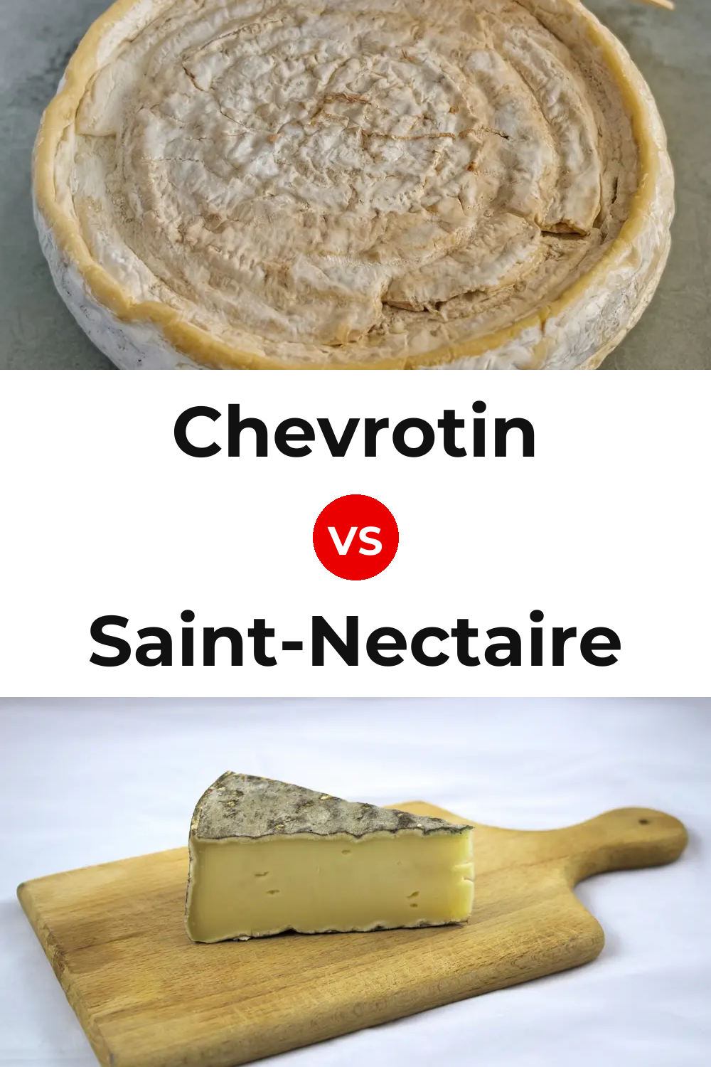 Chevrotin Cheese vs Saint-Nectaire Cheese Pinterest comparison