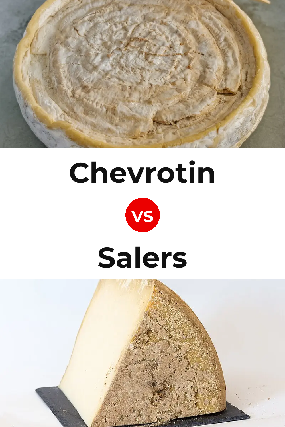 Chevrotin Cheese vs Salers Cheese Pinterest comparison