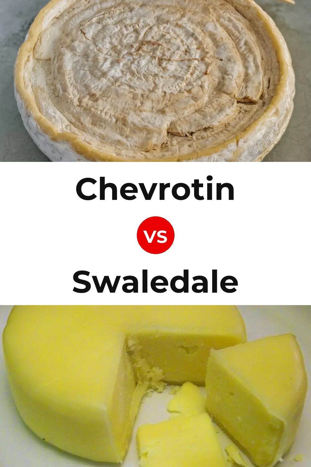 Chevrotin Cheese vs Swaledale Cheese Pinterest comparison