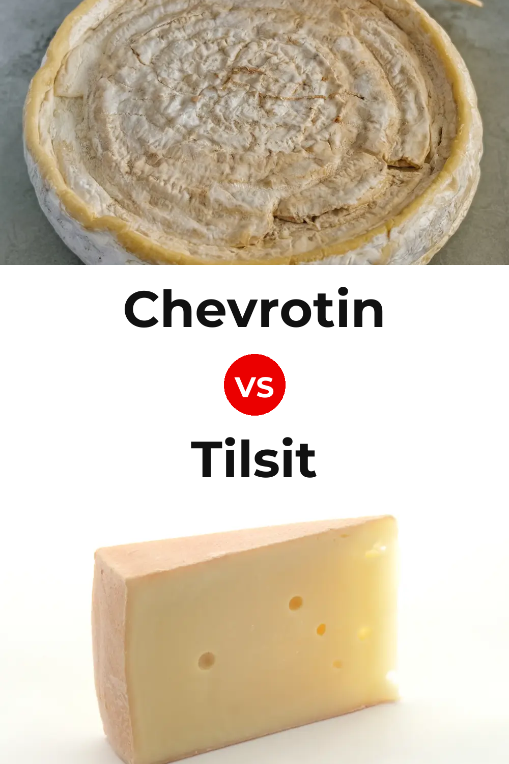 Chevrotin Cheese vs Tilsit Cheese Pinterest comparison