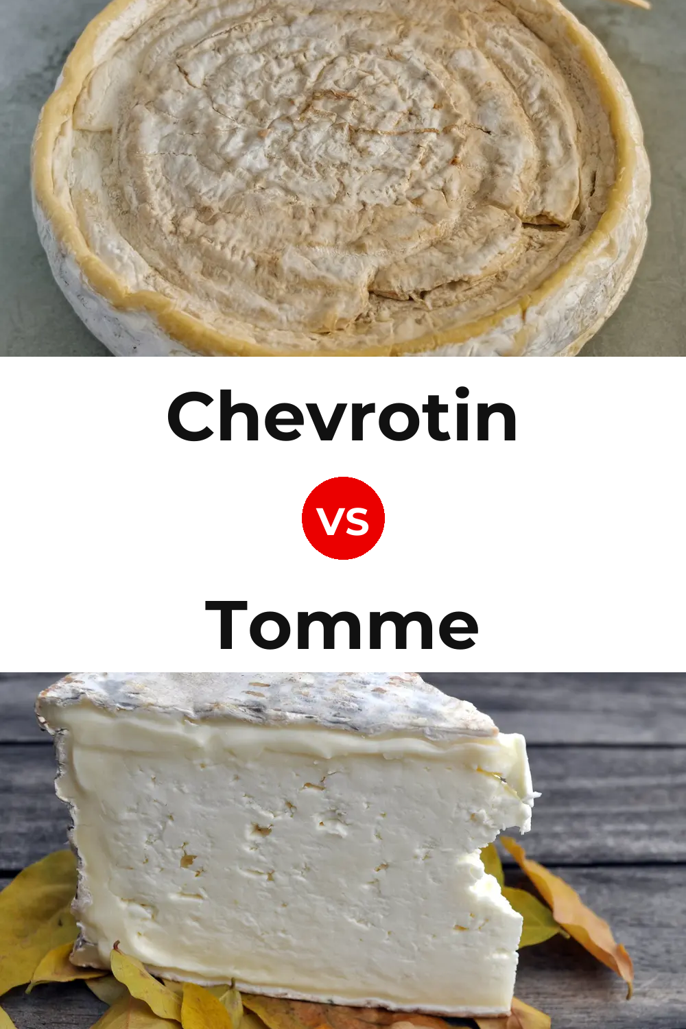 Chevrotin Cheese vs Tomme Cheese Pinterest comparison