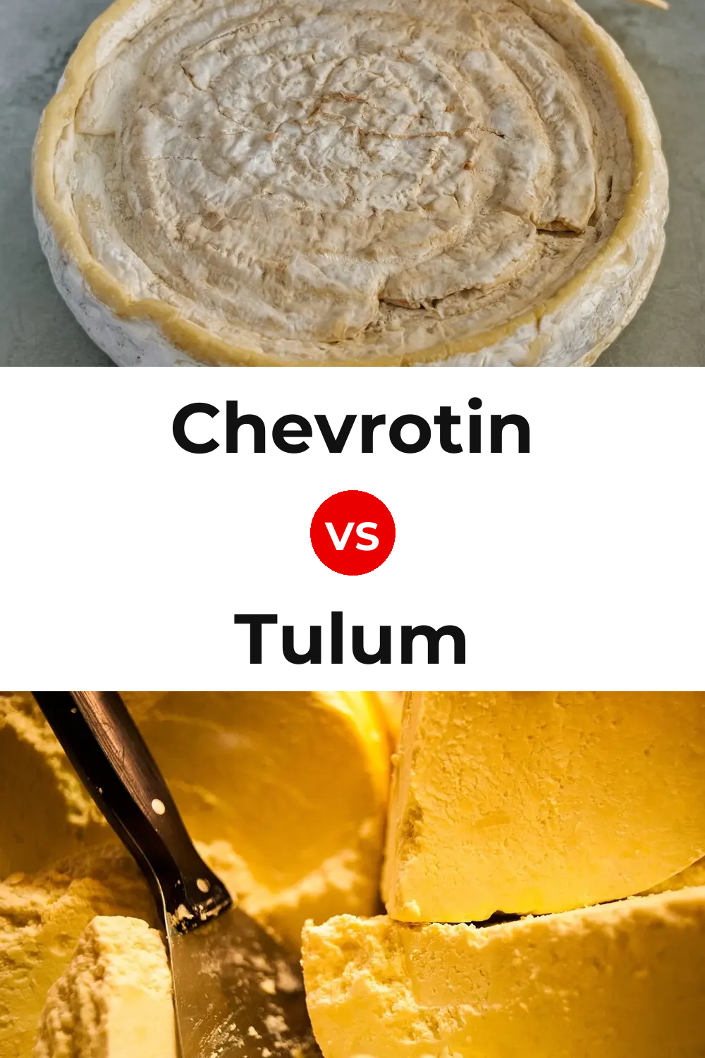 Chevrotin Cheese vs Tulum Cheese Pinterest comparison