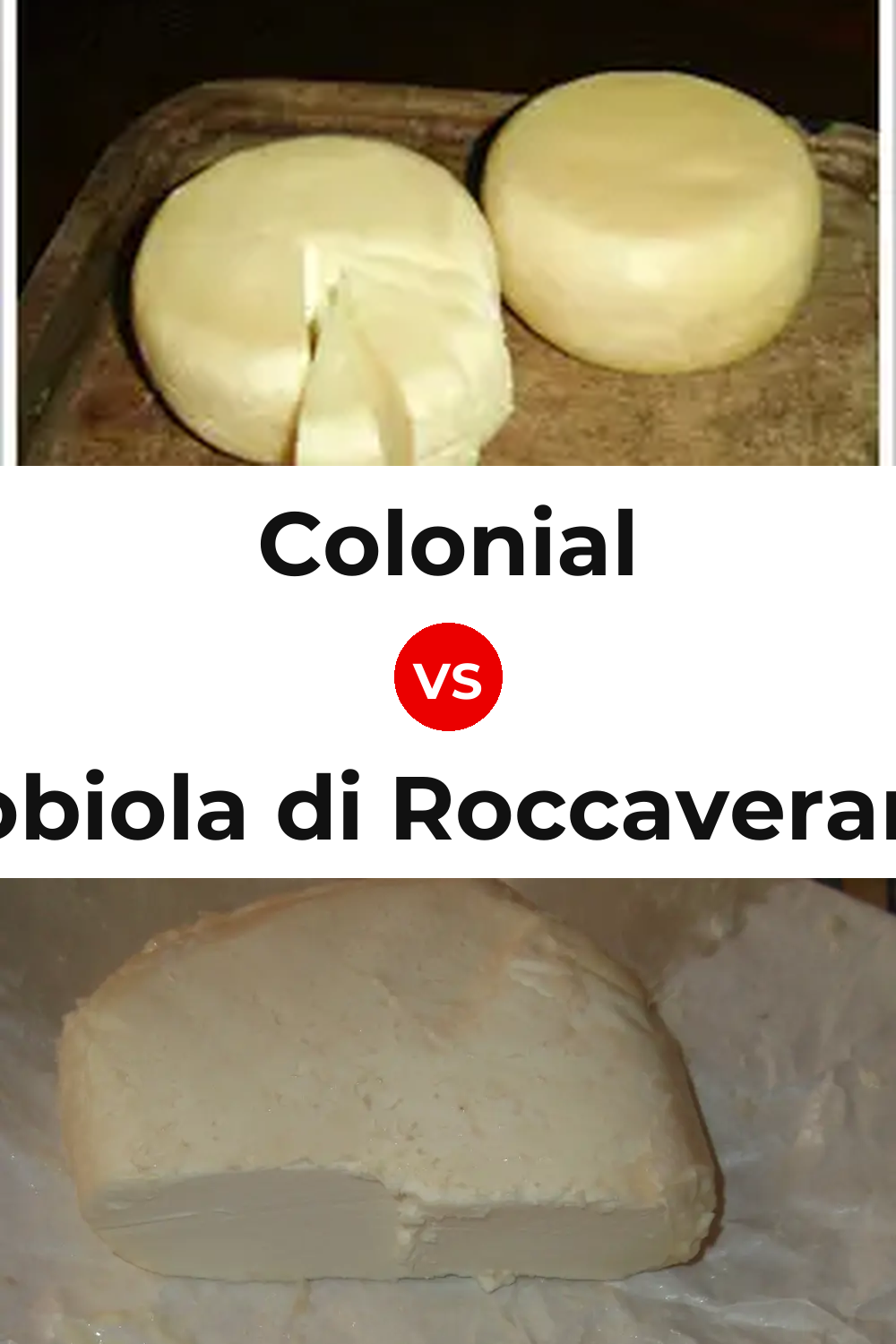 Colonial Cheese vs Robiola di Roccaverano Cheese Pinterest comparison