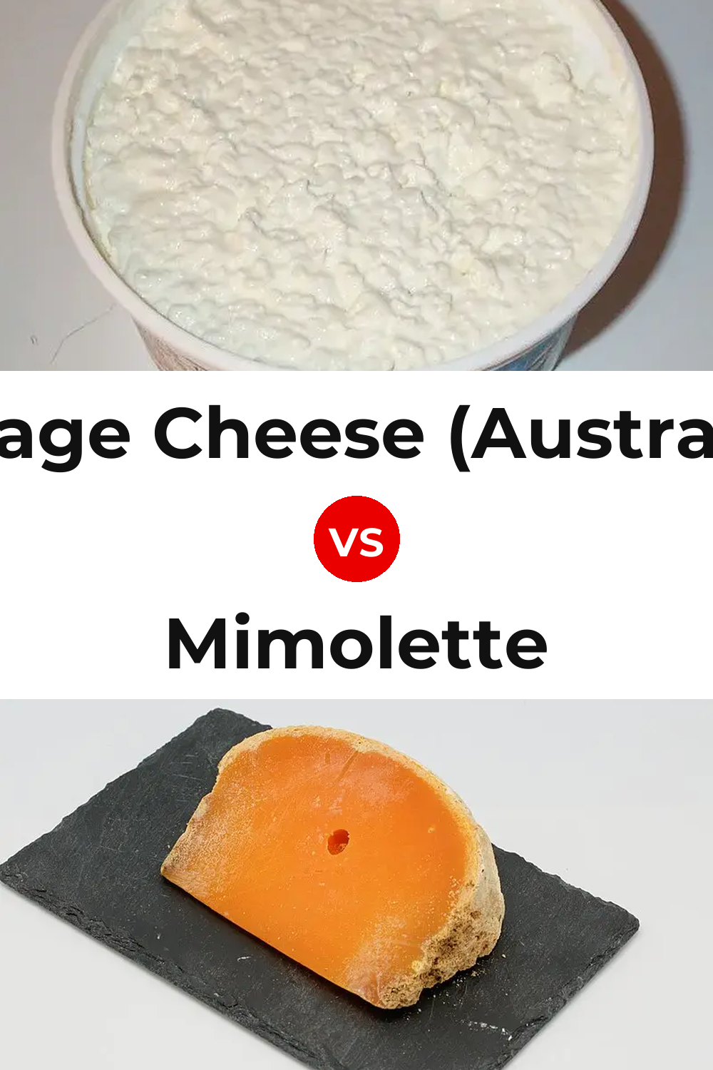 Cottage Cheese (Australian) vs Mimolette Cheese Pinterest comparison