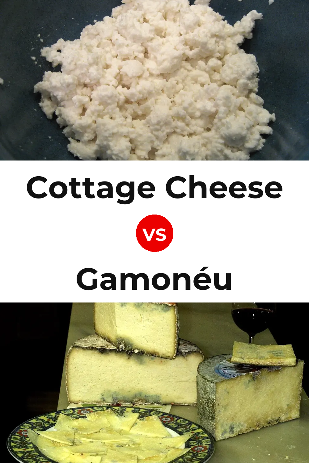 Cottage Cheese vs Gamonéu Cheese Pinterest comparison