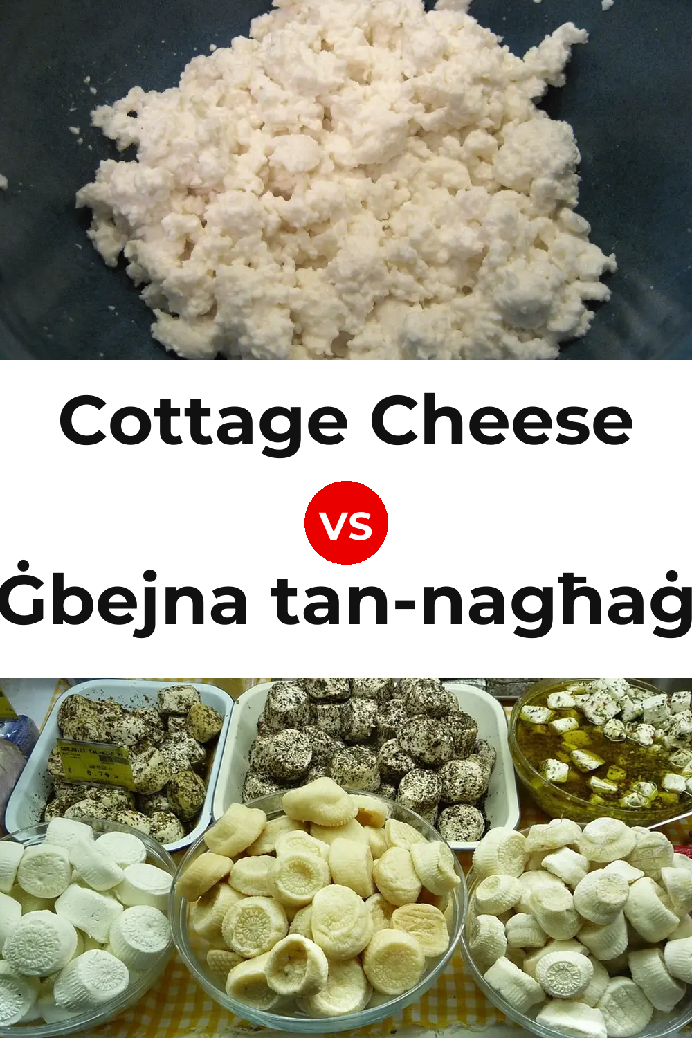 Cottage Cheese vs Ġbejna tan-nagħaġ Cheese Pinterest comparison