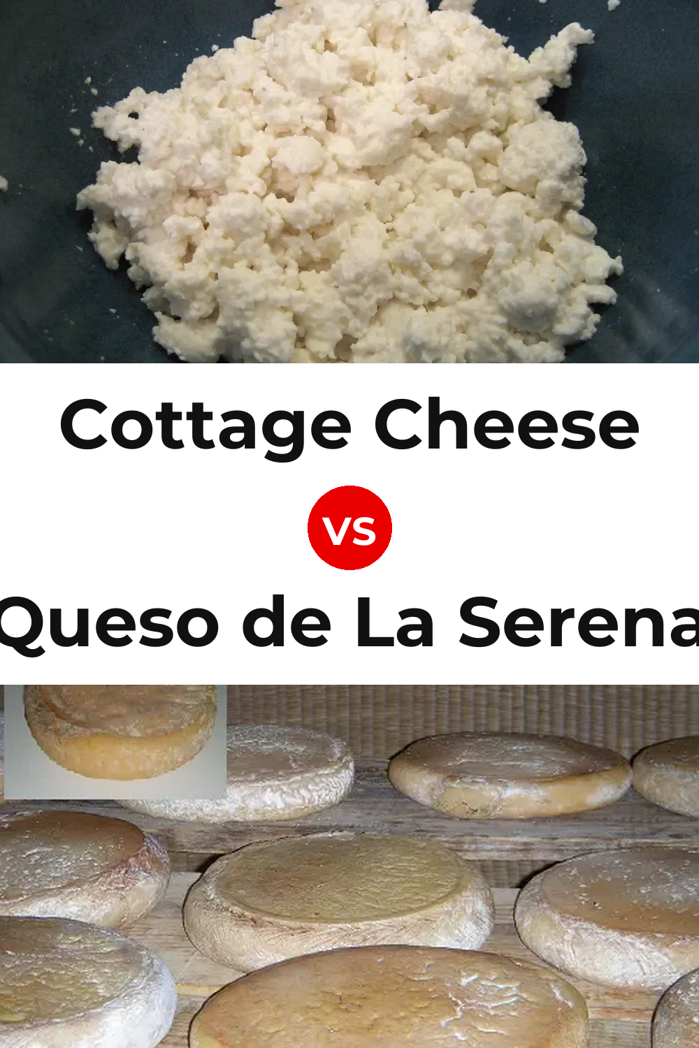 Cottage Cheese vs Queso de La Serena Pinterest comparison