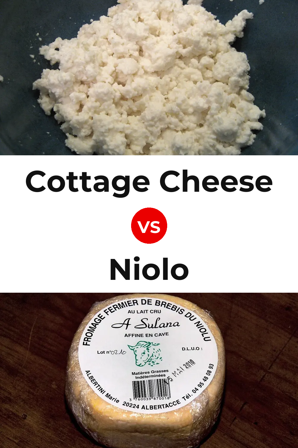 Cottage Cheese vs Niolo Cheese Pinterest comparison
