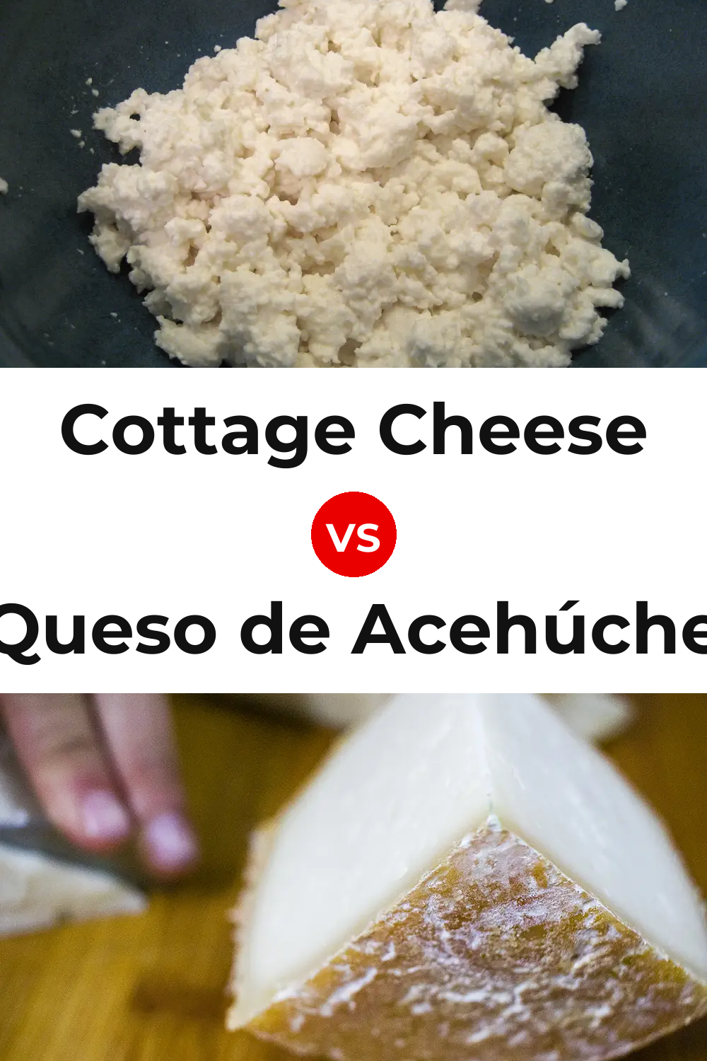 Cottage Cheese vs Queso de Acehúche Pinterest comparison