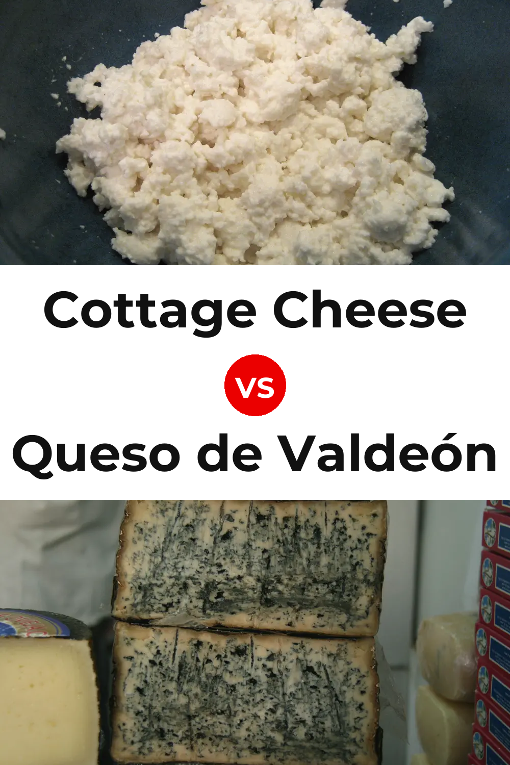 Cottage Cheese vs Queso de Valdeón Pinterest comparison