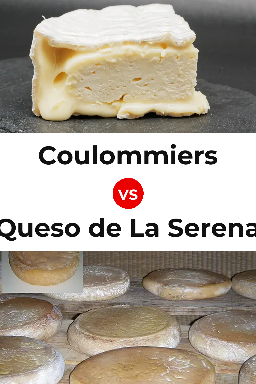 Coulommiers Cheese vs Queso de La Serena Pinterest comparison