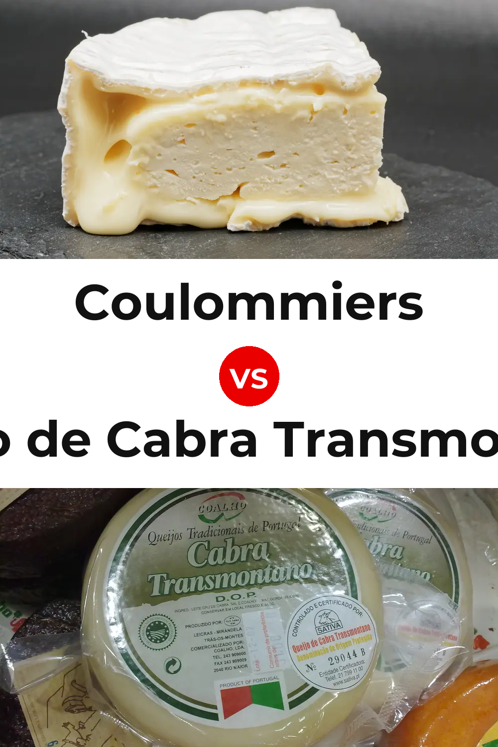 Coulommiers Cheese vs Queijo de Cabra Transmontano Pinterest comparison