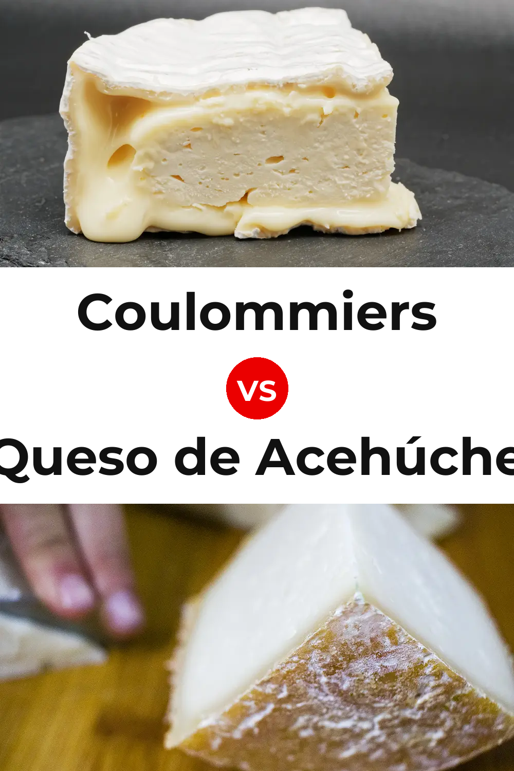 Coulommiers Cheese vs Queso de Acehúche Pinterest comparison