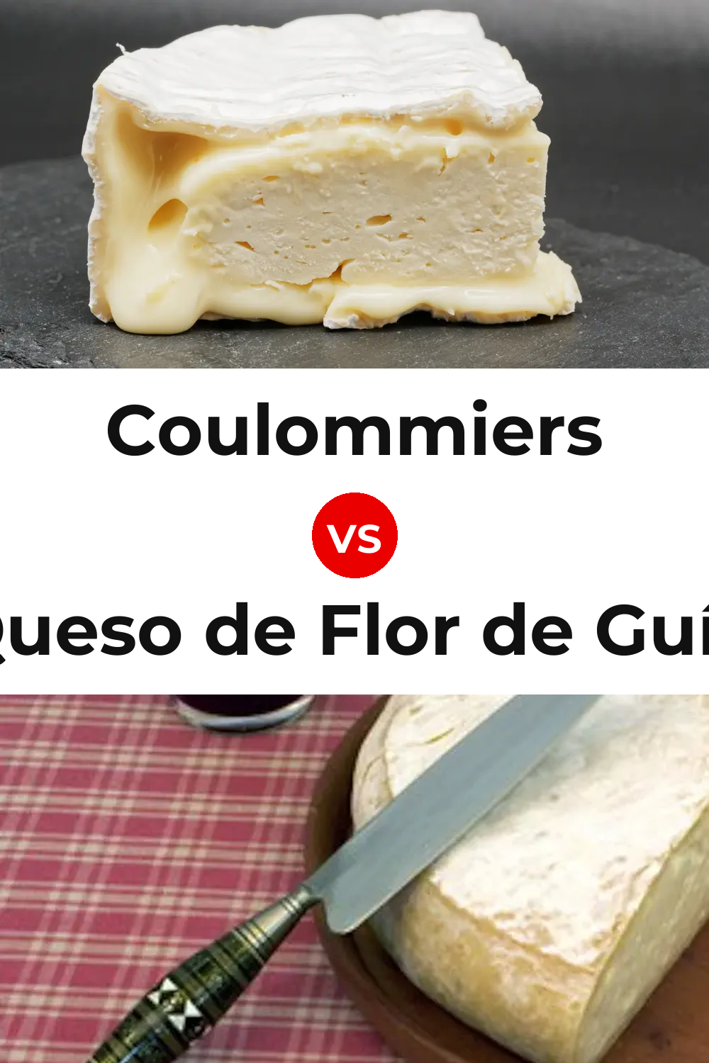 Coulommiers Cheese vs Queso de Flor de Guía Pinterest comparison