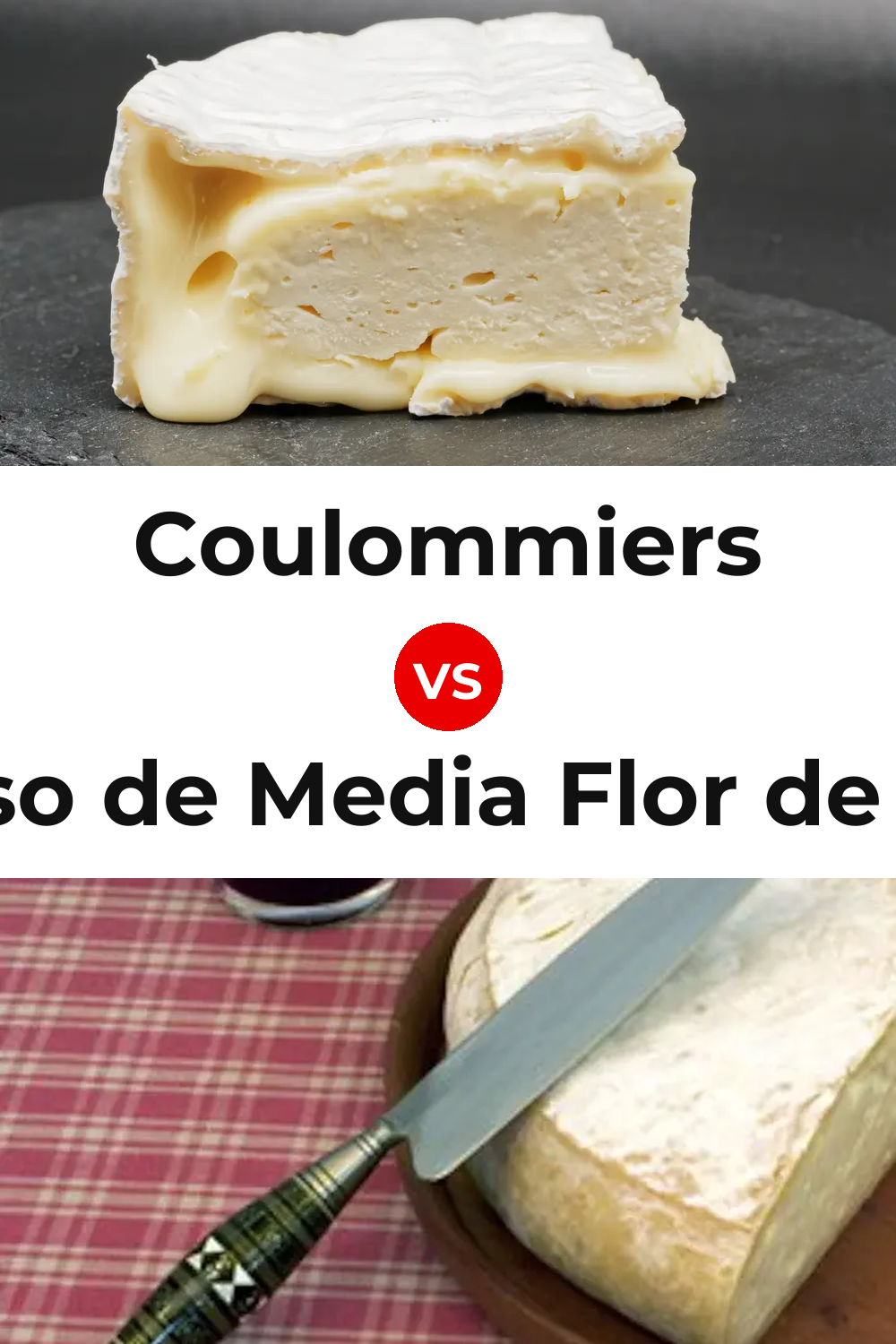 Coulommiers Cheese vs Queso de Media Flor de Guía Pinterest comparison