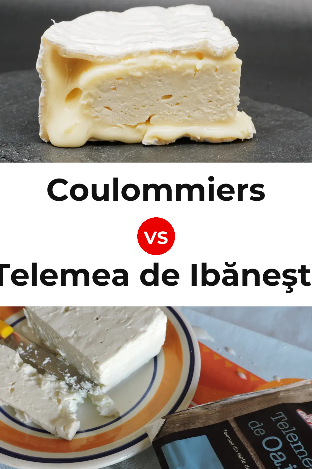 Coulommiers Cheese vs Telemea de Ibăneşti Cheese Pinterest comparison