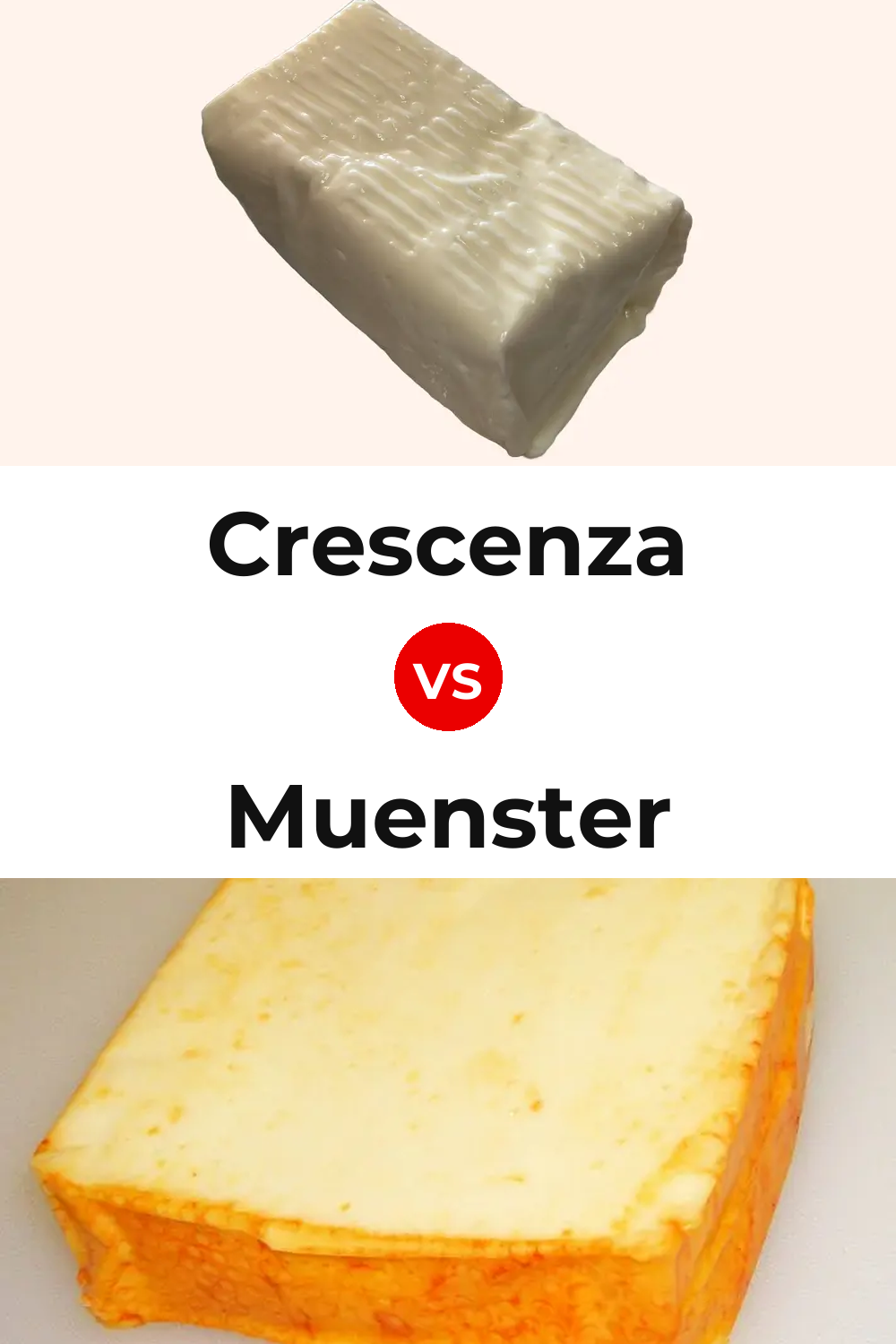 Crescenza Cheese vs Muenster Cheese Pinterest comparison