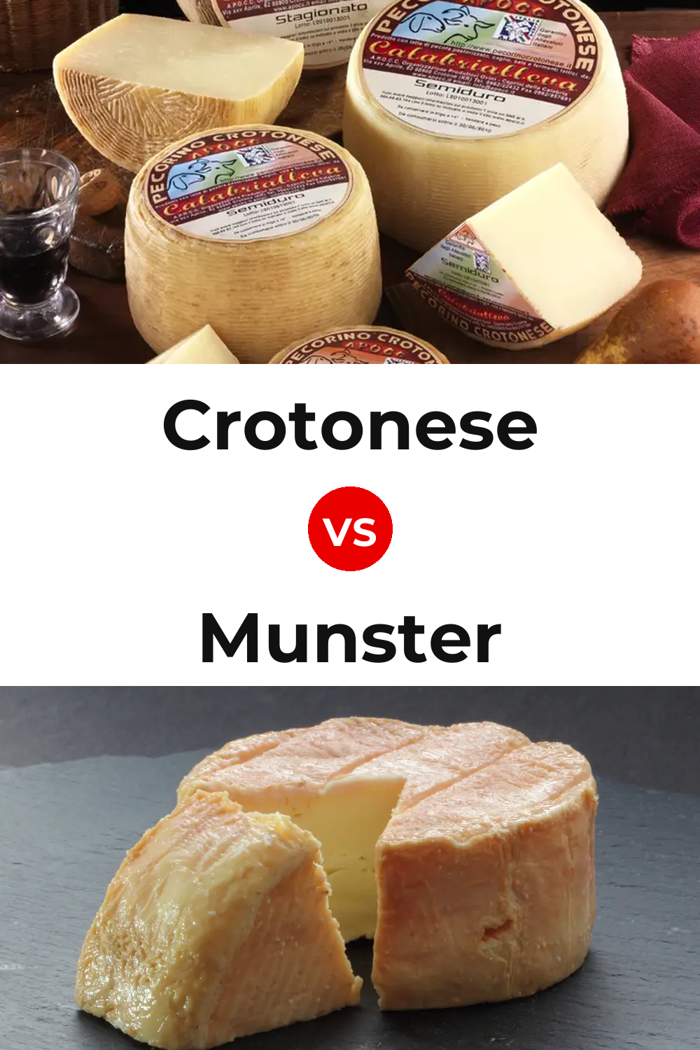 Crotonese Cheese vs Munster Cheese Pinterest comparison