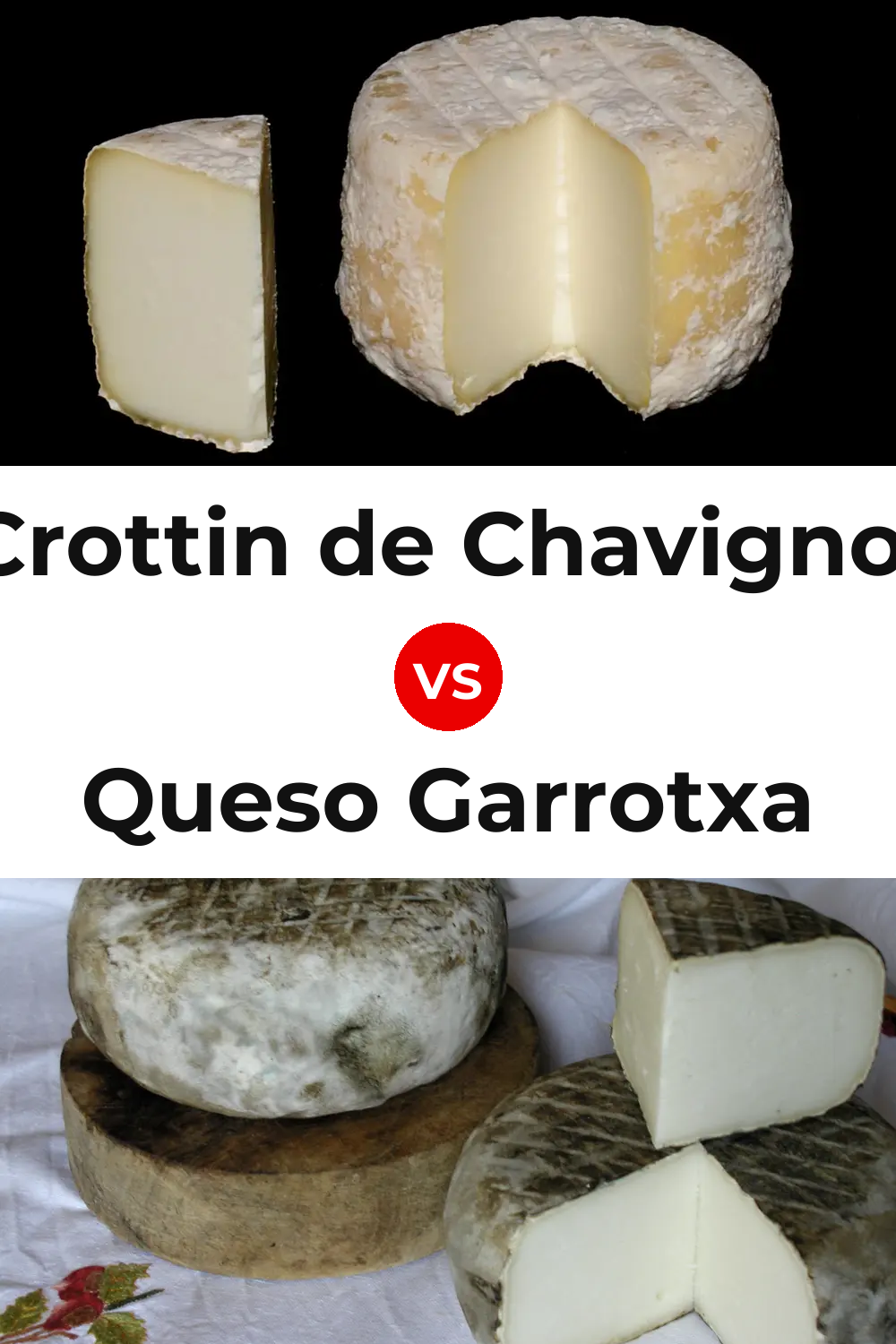 Crottin de Chavignol Cheese vs Queso Garrotxa Pinterest comparison