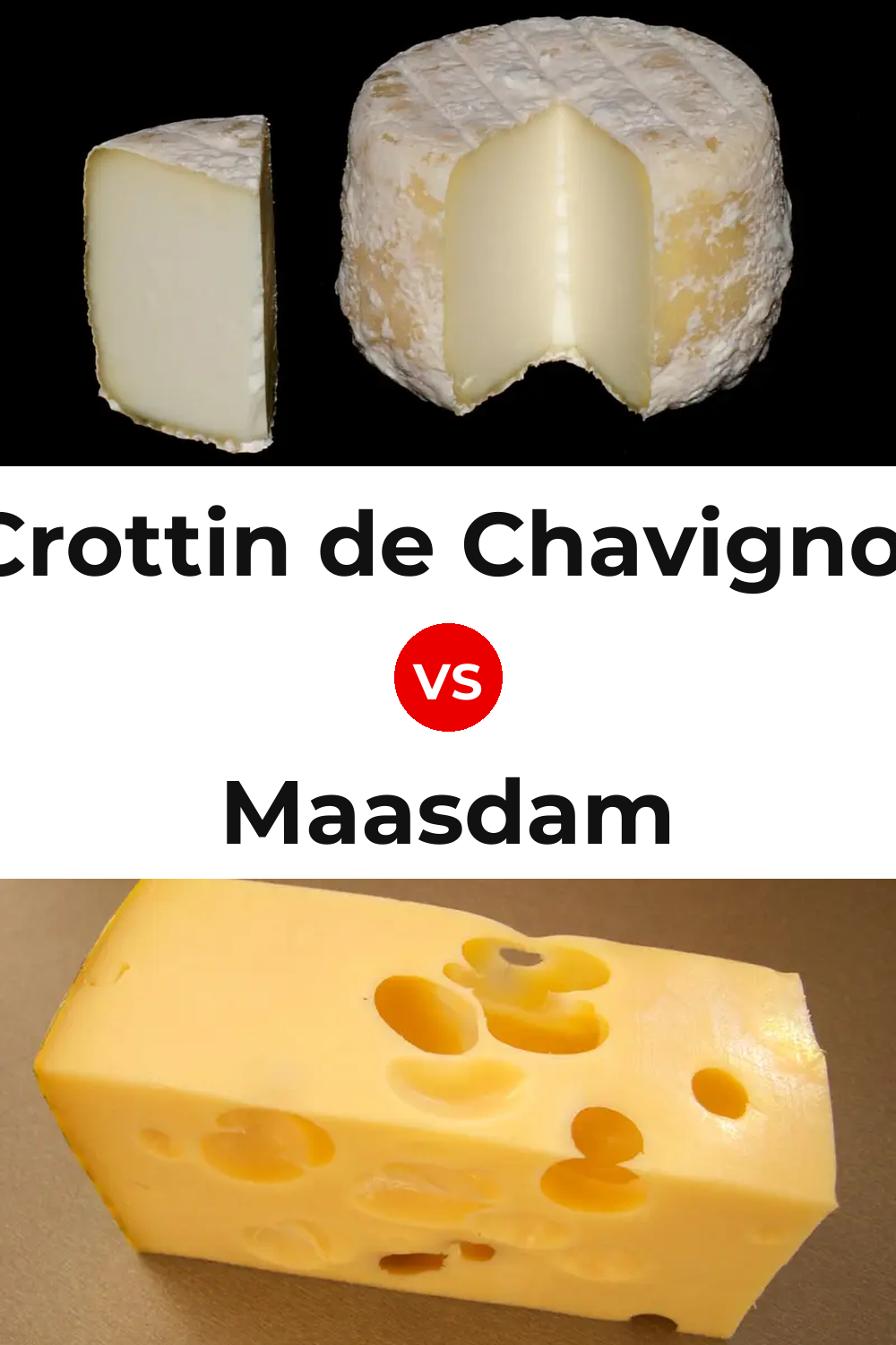 Crottin de Chavignol Cheese vs Maasdam Cheese Pinterest comparison