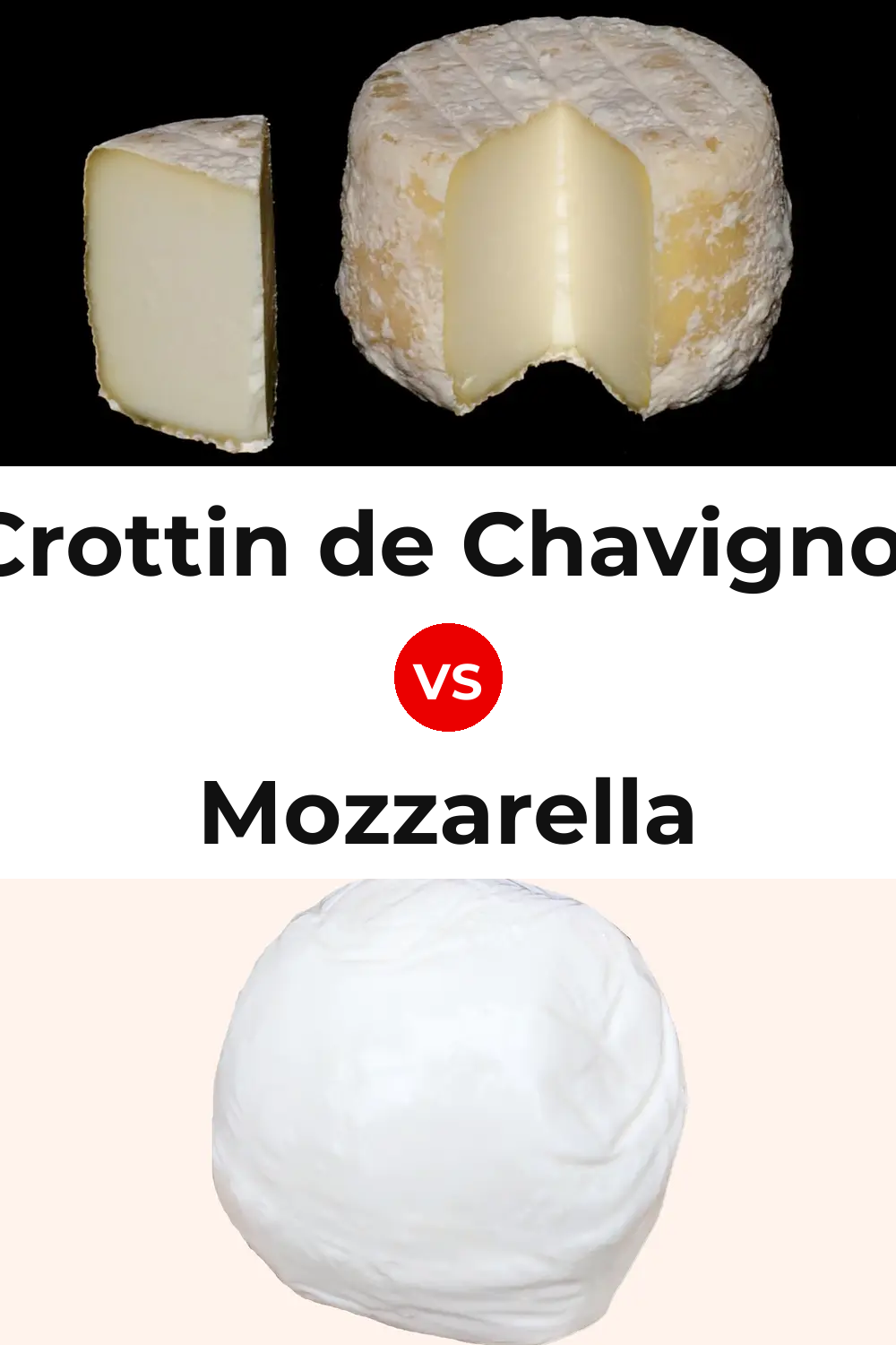Crottin de Chavignol Cheese vs Mozzarella Cheese Pinterest comparison