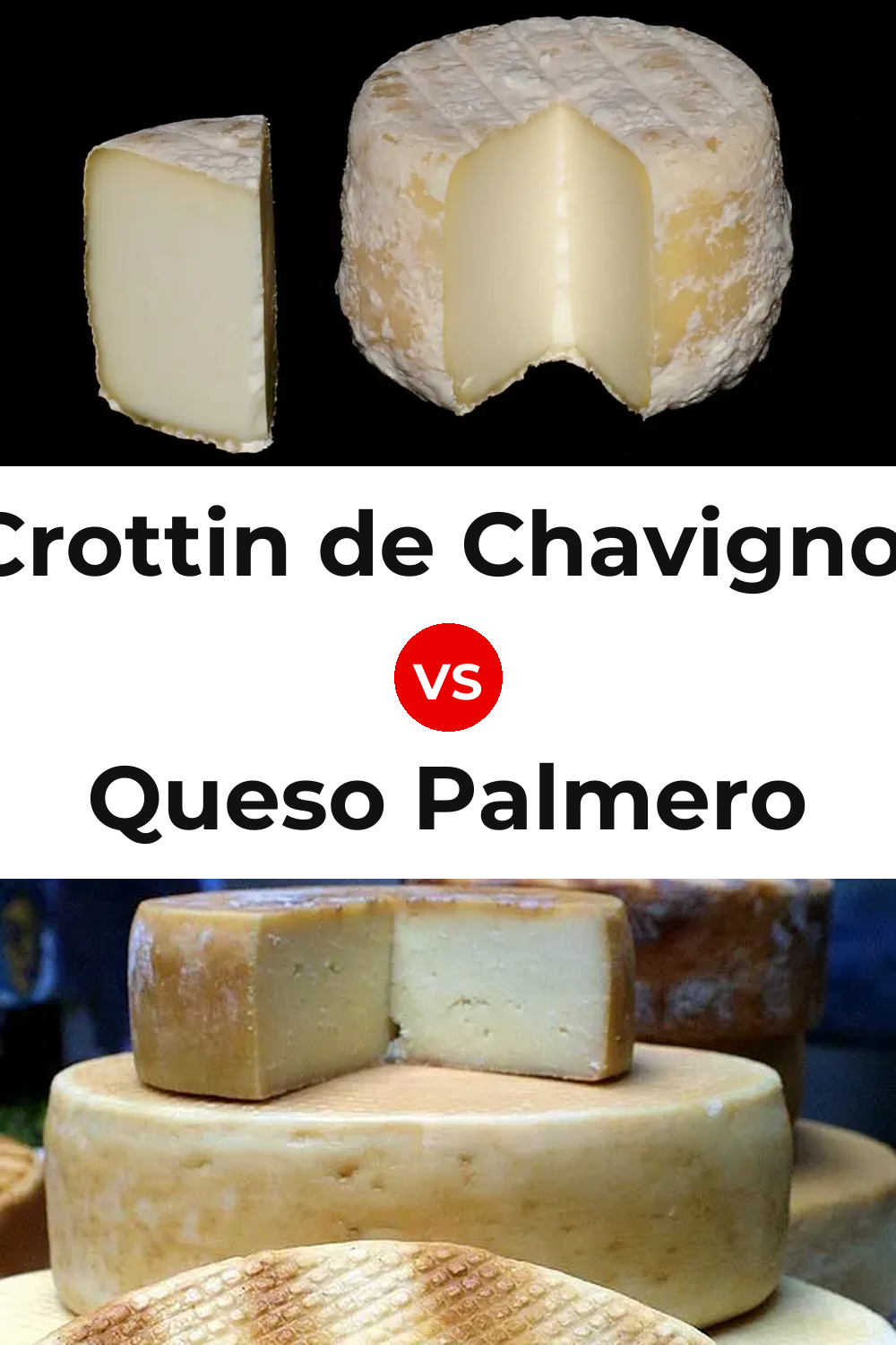 Crottin de Chavignol Cheese vs Queso Palmero Pinterest comparison
