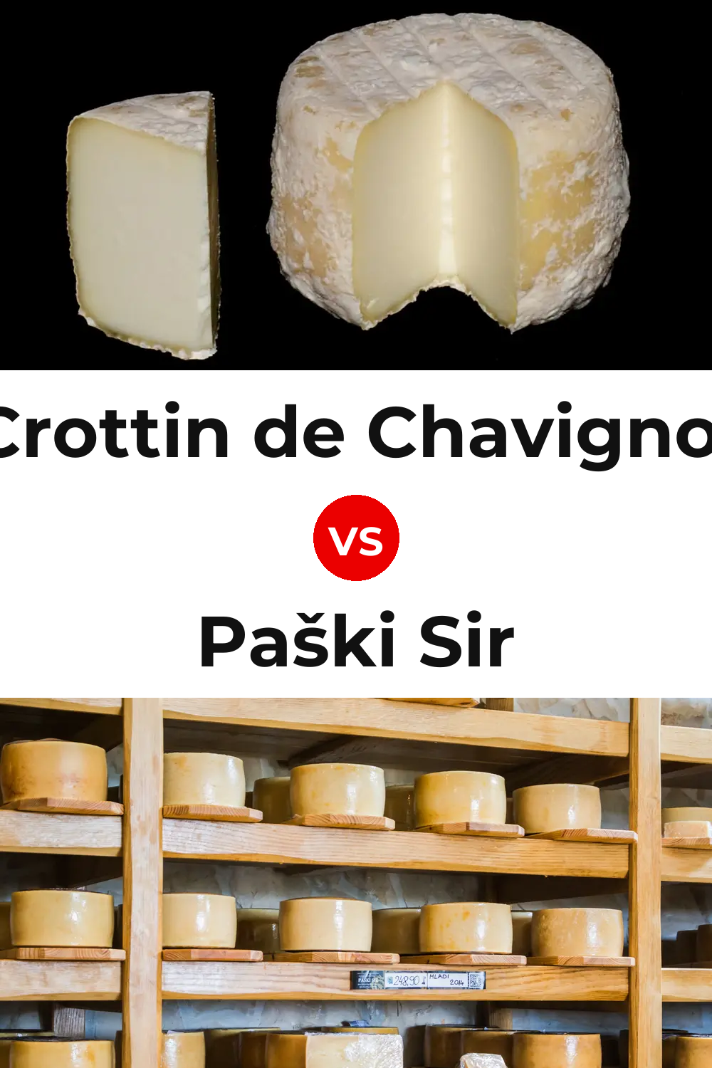 Crottin de Chavignol Cheese vs Paški Sir Cheese Pinterest comparison