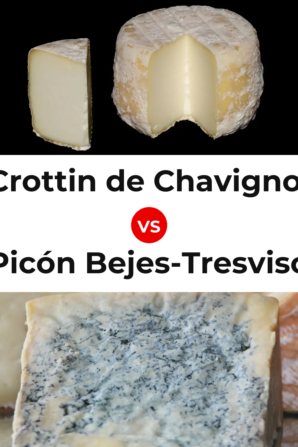 Crottin de Chavignol Cheese vs Picón Bejes-Tresviso Cheese Pinterest comparison