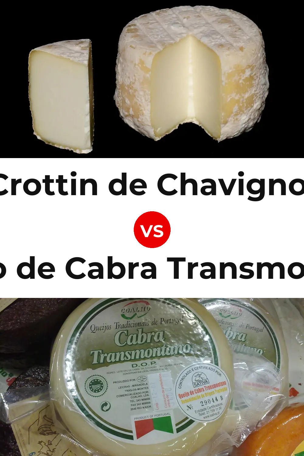 Crottin de Chavignol Cheese vs Queijo de Cabra Transmontano Pinterest comparison