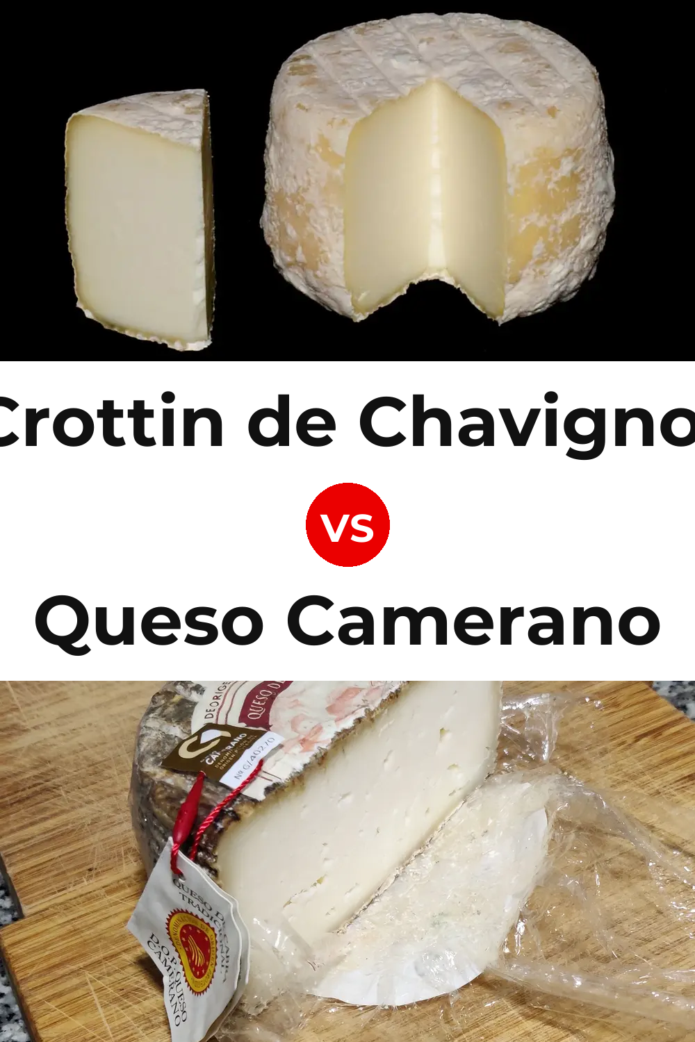 Crottin de Chavignol Cheese vs Queso Camerano Pinterest comparison