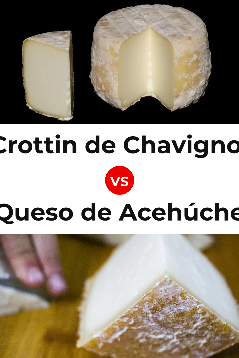 Crottin de Chavignol Cheese vs Queso de Acehúche Pinterest comparison