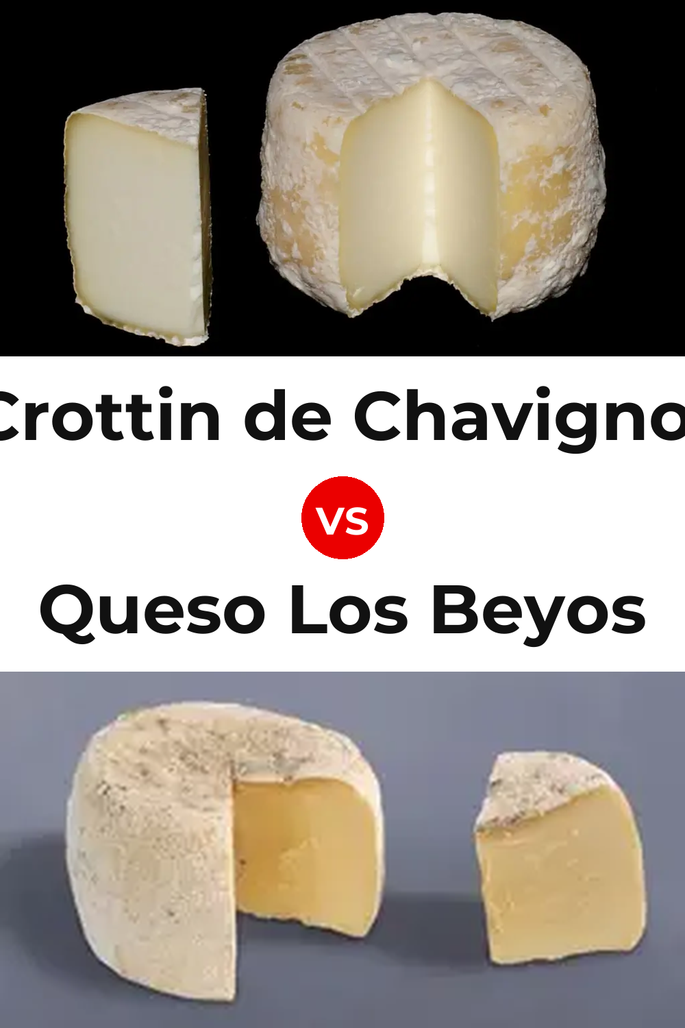 Crottin de Chavignol Cheese vs Queso Los Beyos Pinterest comparison